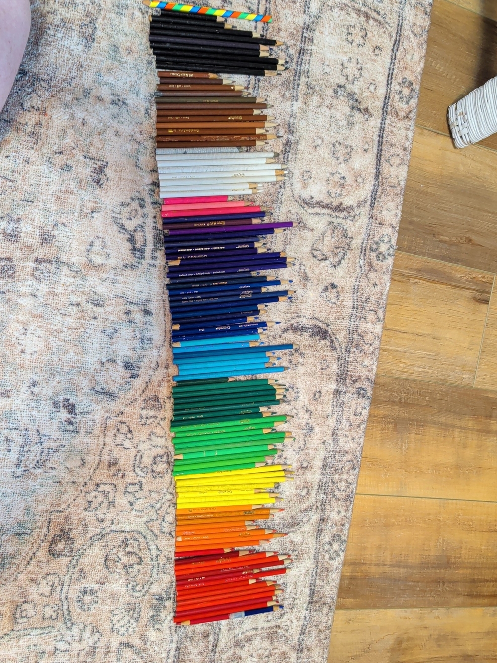 Crayola Colored Pencils Rainbow Assortment 110 Pencils